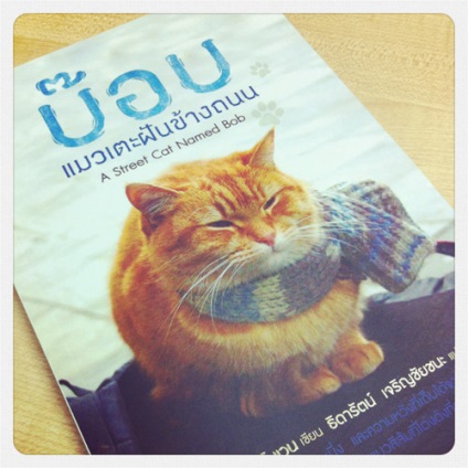 Cărți - o pisică de stradă numită Bob - și - lumea prin ochii unei pisici de fasole - James Bowen