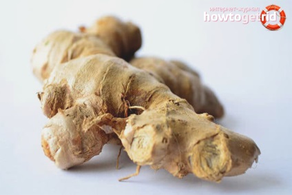 Ginger Root - előnyei és hátrányai a férfiak és a nők