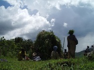 Little Rocks - Uganda