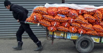 Mandarine într-un jolly
