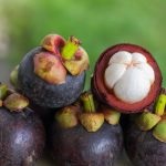 Mangosteen (25 fotografii) compoziție chimică, proprietăți utile, utilizare în medicină, criterii de selecție