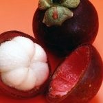 Mangosteen (25 fotografii) compoziție chimică, proprietăți utile, utilizare în medicină, criterii de selecție