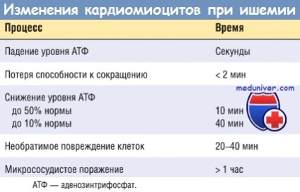 Fejlesztési Mechanizmus (kórélettani), szívinfarktus