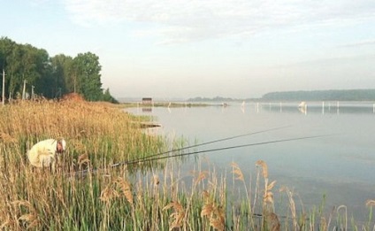 Mezhura halászati ​​díj, jelentések, vélemények, árak, elérhetőségek, szolgáltatás, hogyan jut