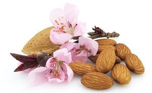 Almond, compoziția și proprietățile sale utile, calorii și rău