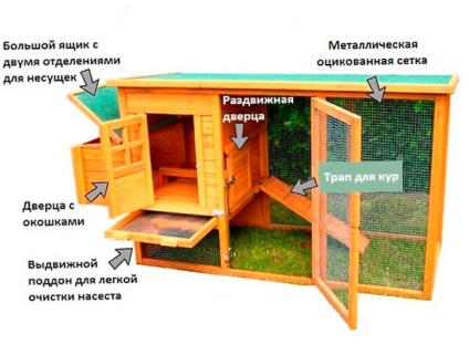 Мини кокошарник в продължение на 5 - 10 пилета с техните ръце снимка, производство на видео