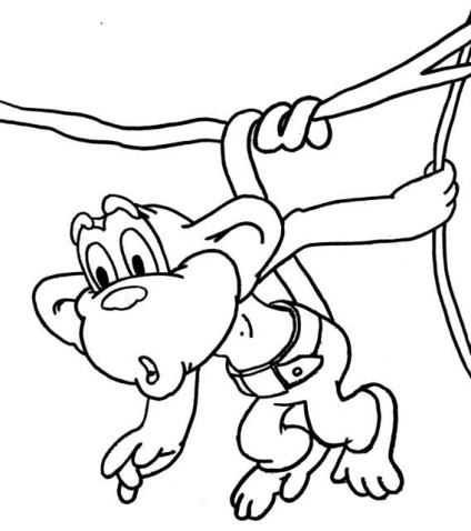 Desenați un creion de maimuță în etape - cum să desenați o maimuță care să tragă o maimuță în creion