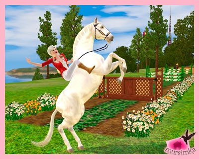 Lovastudásukat, karrier a lovas és a ló versenyek - Karrier - cikkek és vélemények The Sims 3