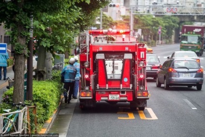 Viața neobișnuită a japonezilor