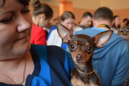 Ng 190 de câini din Rusia și Kazahstan au fost prezenți la expoziția 