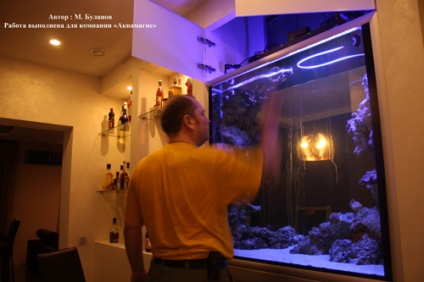 Új trendek a tervezés tengeri akváriumok