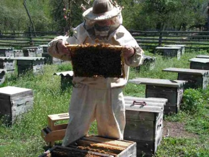 Uniunea familiilor de albine cu pierderi minime - 2017
