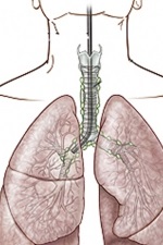 Oncologie, Sankt-Petersburg, Departamentul de Oncologie, Spitalul Municipal 40