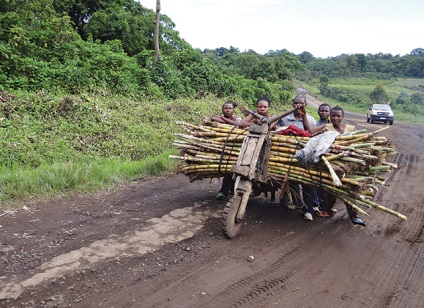 De la coarnele de pe capul la procedurile de baie cu lapte, obiceiurile popoarelor din Africa în lentila fotografică a Ninei