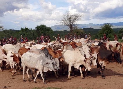 De la coarnele de pe capul la procedurile de baie cu lapte, obiceiurile popoarelor din Africa în lentila fotografică a Ninei