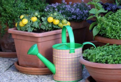 Peroxidul de hidrogen din grădină și grădină - specificul aplicației și feedback