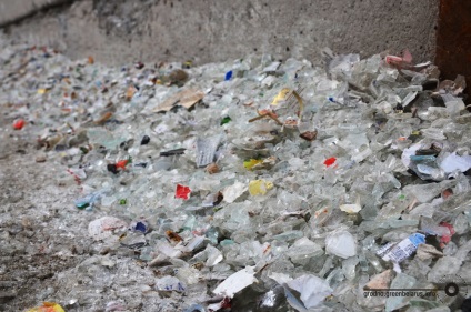 Plastic vs sticlă din care puteți bea fără a afecta sănătatea și oceanul lumii