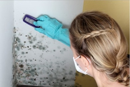 Mucegai în baie cum să împiedice apariția ciupercilor și ce să elimine petele și mirosul