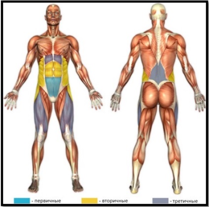 Ridicarea picioarelor situate pe spatele tehnicii care efectuează exercițiul și beneficiile