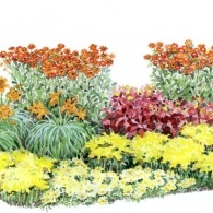 Reguli pentru construirea schemelor de culori în grădină, schemele de grădini de flori, colorarea grădinii, plantarea grădinii