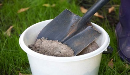 Reguli pentru cultivarea castraveților în sol deschis