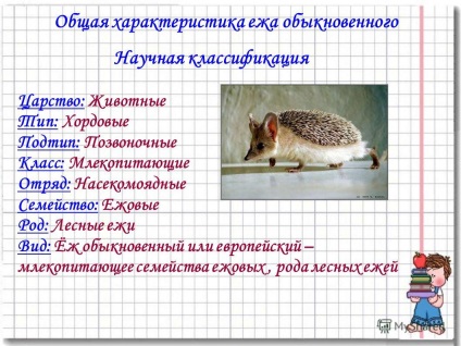 Prezentare pe tema muncii de cercetare - de ce trebuie să mănânc mere - rasskoy 2012