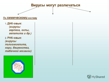 O prezentare despre virușii cum ar fi virușii - cum arată modul în care virușii se înmulțesc - moderați