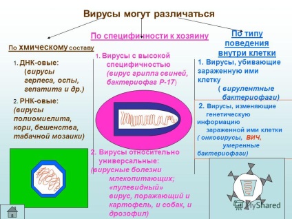 O prezentare despre virușii cum ar fi virușii - cum arată modul în care virușii se înmulțesc - moderați