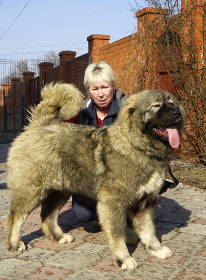 Puppies de vânzare