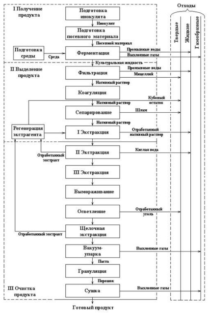 Producția de penicilină - medicină, sănătate