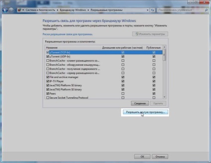 Vizionarea TV pe monitorul calculatorului, sky @ net - ISP