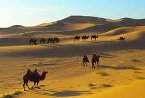Desertul gobi, locurile misterioase ale planetei, lumea invizibilă