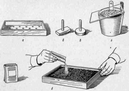 Reproducerea plantelor de interior - flori de interior