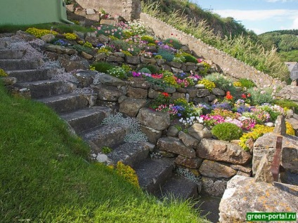 Rockarium cu propriile mâini - design peisagistic cu mâinile lor