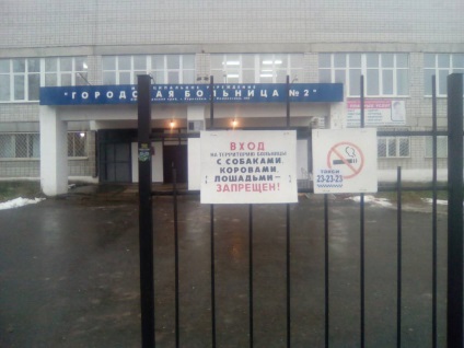 Șoimul care a scăpat din circul din Perm nu a fost încă găsit