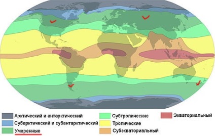 Plante de plante sălbatice comestibile mâncate