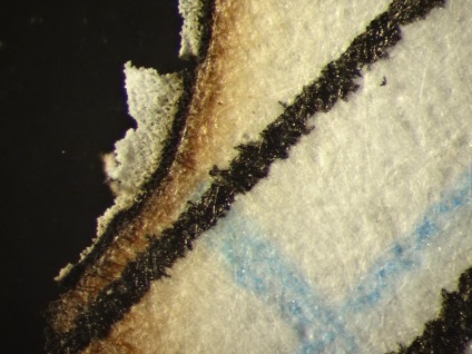 Hârtie arsă sub microscop