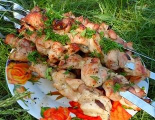 Shish kebab de la coapsele de pui, blog delicios - retete simple cu fotografie