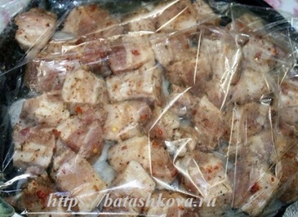 Shish kebab într-un cuptor de porc pe o pernă de ceapă