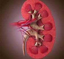 Simptomele durerii de rinichi ce înseamnă, cauze, natura
