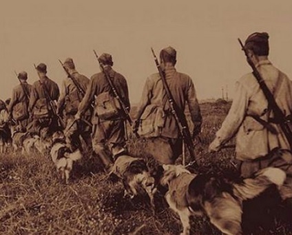 Paznici sovietici de frontieră și câini de serviciu în luptă mână-la-mână cu fasciștii, știri kleinburd