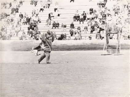 Sport cu câinele!