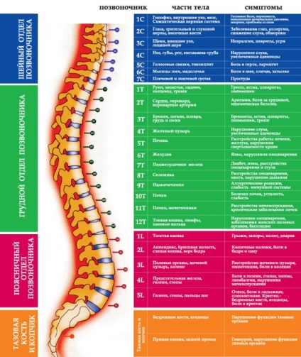 Comunicarea coloanei vertebrale cu boli și probleme psihologice, reguli de sănătate și longevitate