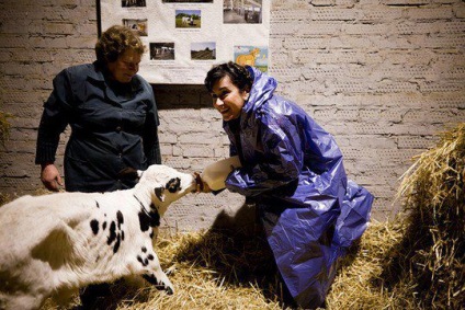 Tina Kandelaki a forțat vacile de muls - un portal despre celebrități precum