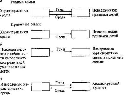 Tipologia efectelor genotipului-mediu