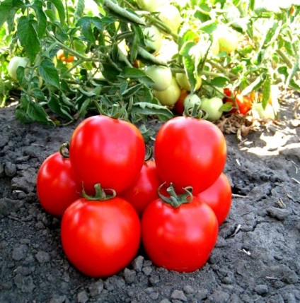 Tomato - aswon - f1, caracteristici și descrierea soiului, randament, fotografie