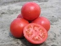 Clarabella tomato f1