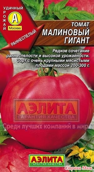 Tomato - gigant crimson - grădină, grădină - țara mamei