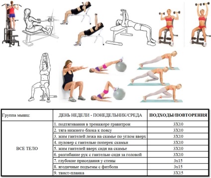 Instruirea în sală de gimnastică pentru pierderea în greutate, program de lecție, video