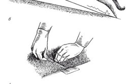 Plasarea covorului cu propriile mâini sub podea și lipici (video)